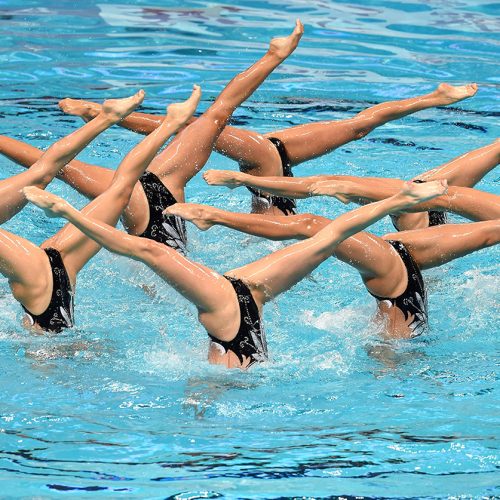 shutterstock_123602794