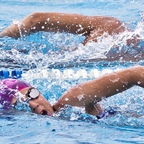 shutterstock_207143152